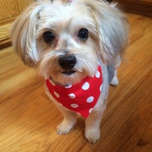 Meet your Posher, Sherry